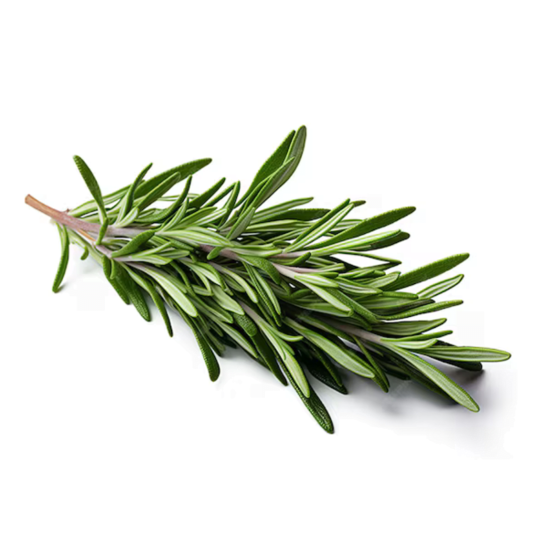 Rosemary