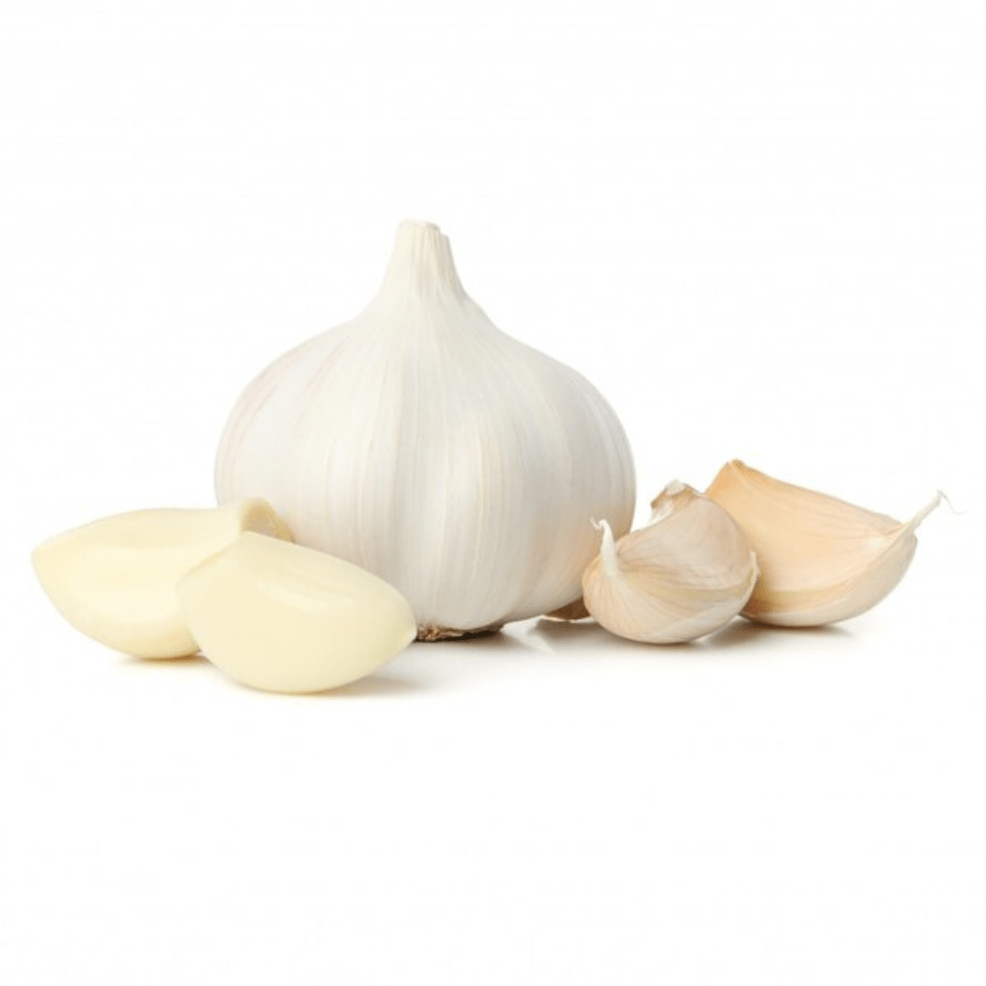 Garlic