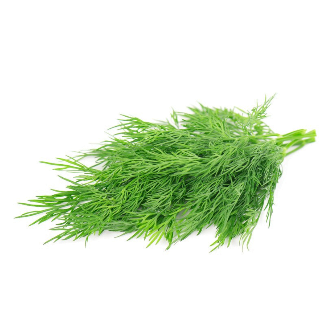 Dill
