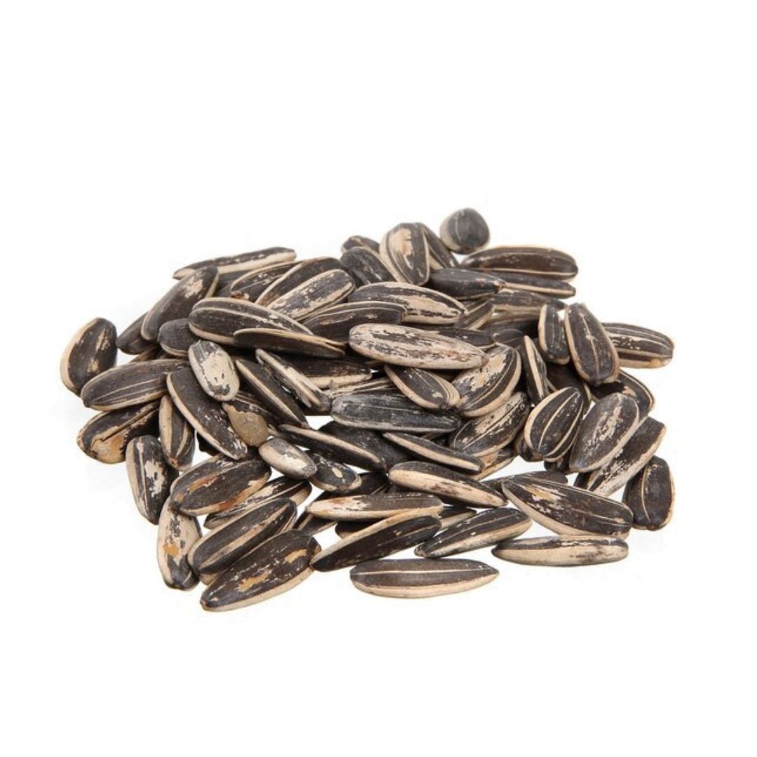 Sun Flower Seeds
